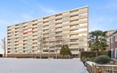 Titus Brandsmastraat 93