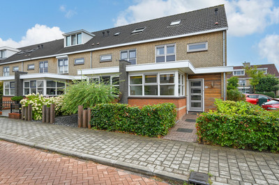 Zwanebloem 48