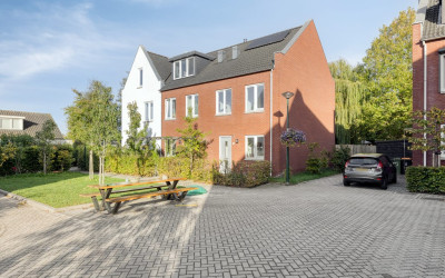 Lion Cachethof 20