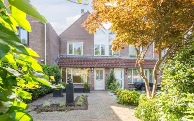 Roerdomp 5
