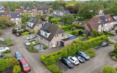 Scholekster 26