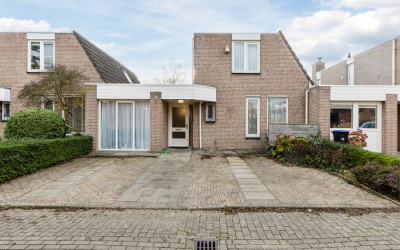 Houtduif 36