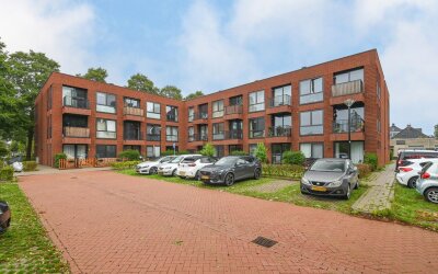 Ooievaar 6