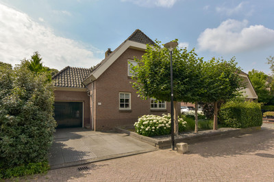 Zorggras 11