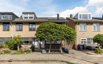 Kastelein 19