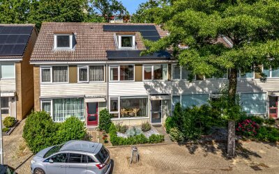 Couwenhoven 4110