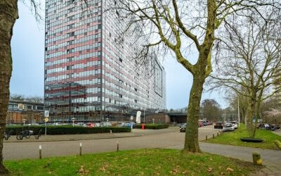Laan van Vollenhove 300