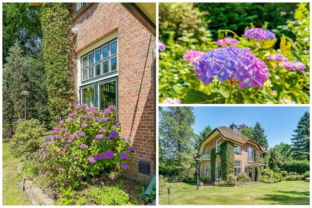 Vrijstaande woning te koop: Rembrandtlaan 28, Huis Ter Heide