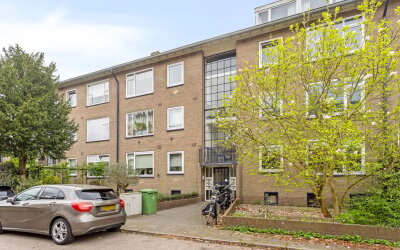 Pieter de H. 50