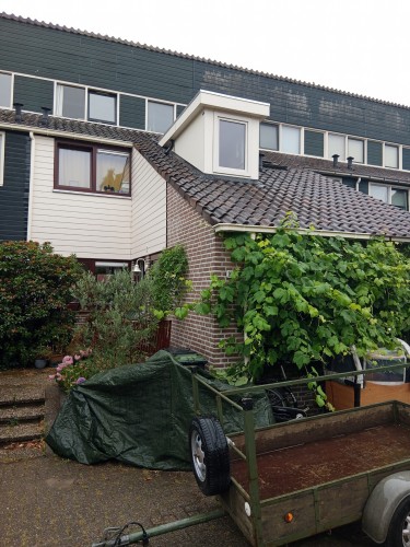 Dovenetelhof 10