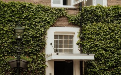 Laanstraat 70-C