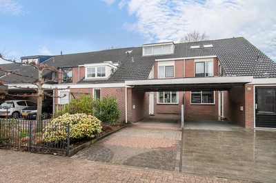 Wilde Zwaan 43