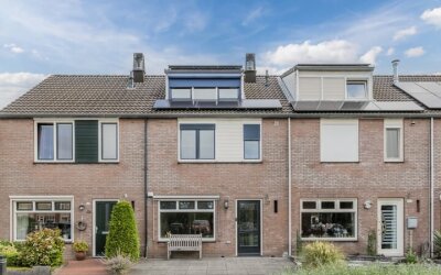 Zanglijster 117
