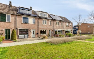 Zanglijster 119