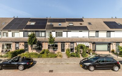 Scholekster 57