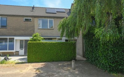 Scholekster 32