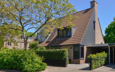 Goudhaver 15