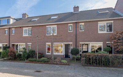 Wezeboom 8