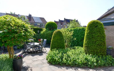 Willemserf 94