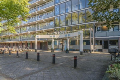 Haverweerd 12