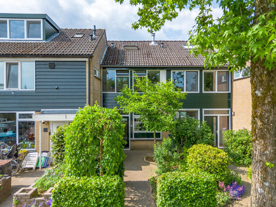 van Hamelstraat 39