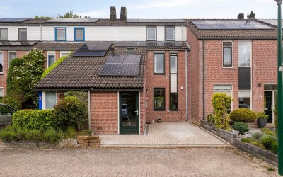 Gemshoorn 7