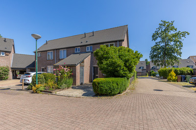 Lisdodde 2