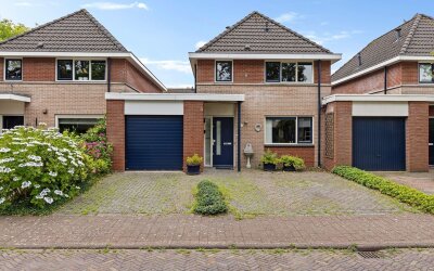 Winterkoning 29