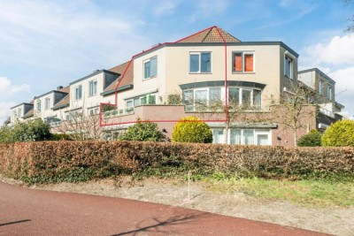 Goudvink 27