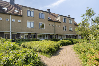 Goudvink 39