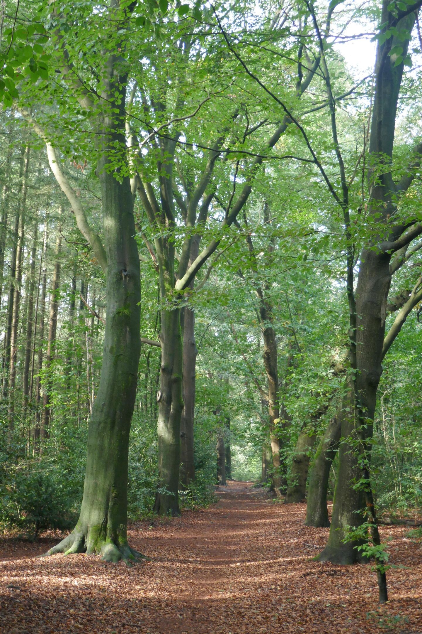 Hoekwoning te koop: Apollo 47, Soesterberg
