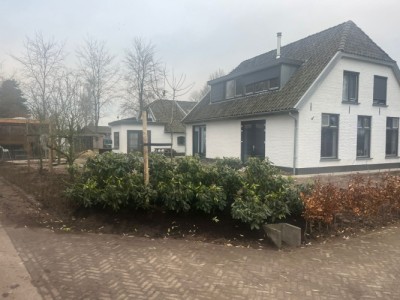 Schoonhorst. 6