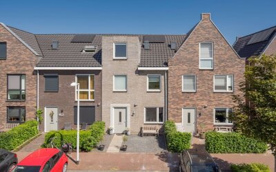 Zijdehoende. 150