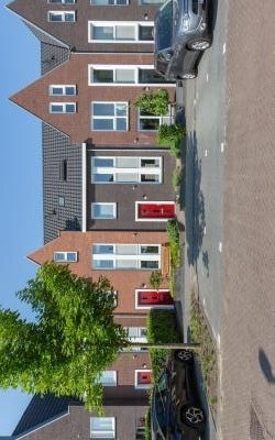 Zijdehoende. 38
