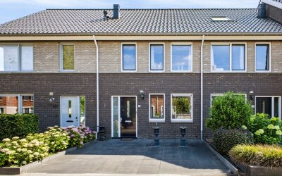 De Wiek 50