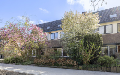 Dollardstraat 154
