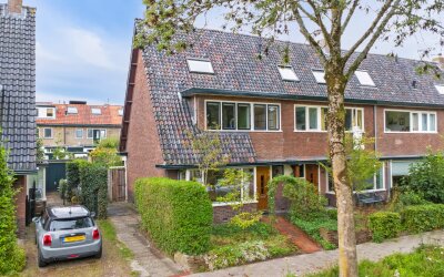 Dollardstraat 226