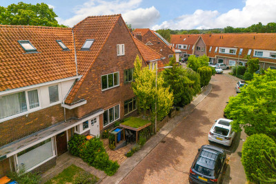 Goudsbloems. 49