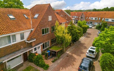 Goudsbloems. 49