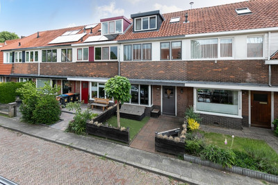 Goudsbloems. 53