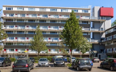 Roelandplaats 40