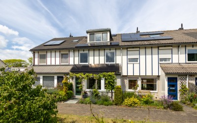 Slangevecht 4
