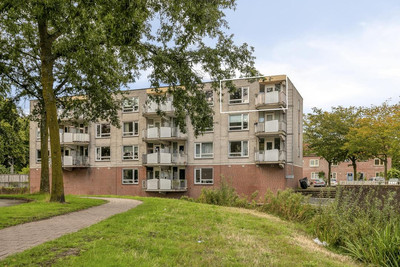 Nijenrode 33