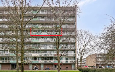 Zangvogelweg 24