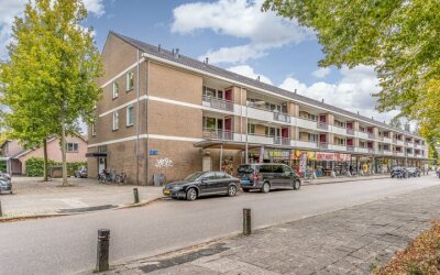 Wiekslag 325