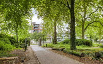 Randenbroek. 164