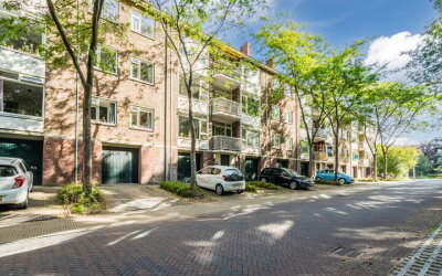 Pieter Jell. 65-B