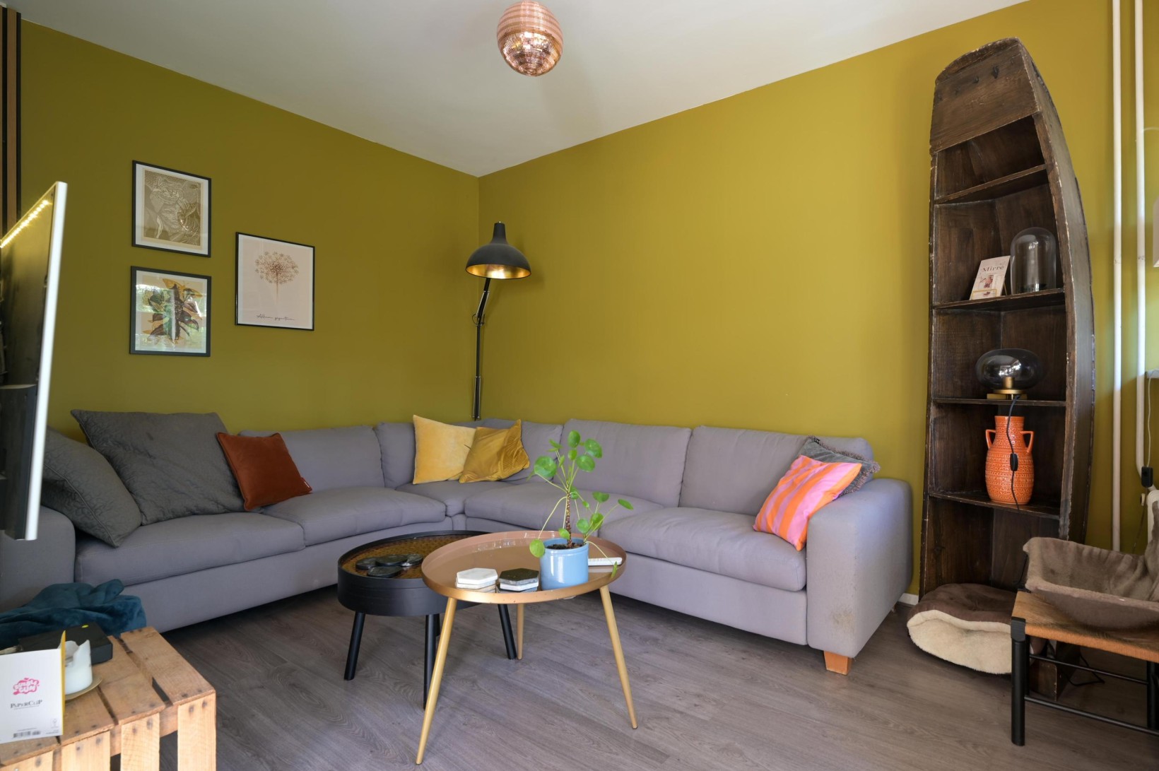 Appartement te koop: Pieter Jelles Troelstralaan 65C, Amersfoort