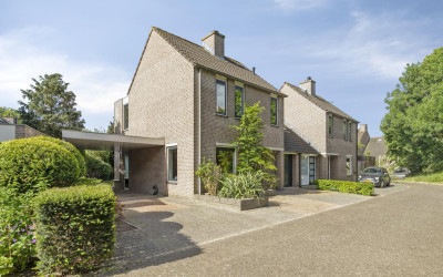 Kolibrievlinder 22
