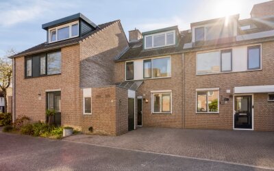 Heidevlinder 3
